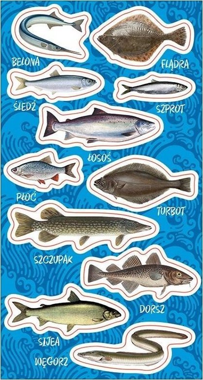 Ranok Naklejki Ryby bałtyckie