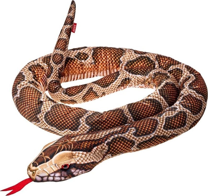 Pyton Birmański 180cm