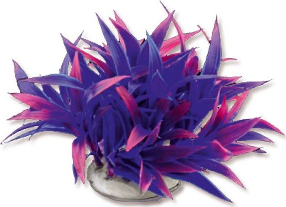 Happet Roślina folia 10cm 1f25 Happet