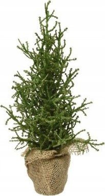 Dekoracja świąteczna Kaemingk ozdobna choinka