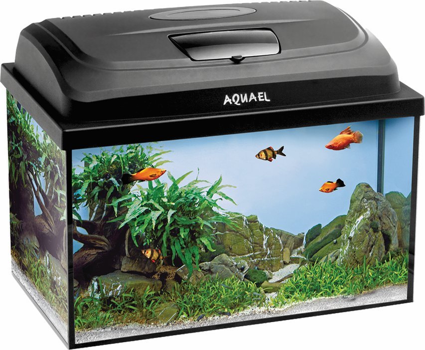 Aquael AQUAEL Zestaw Akwarystyczny Classic Box 40/P D&N