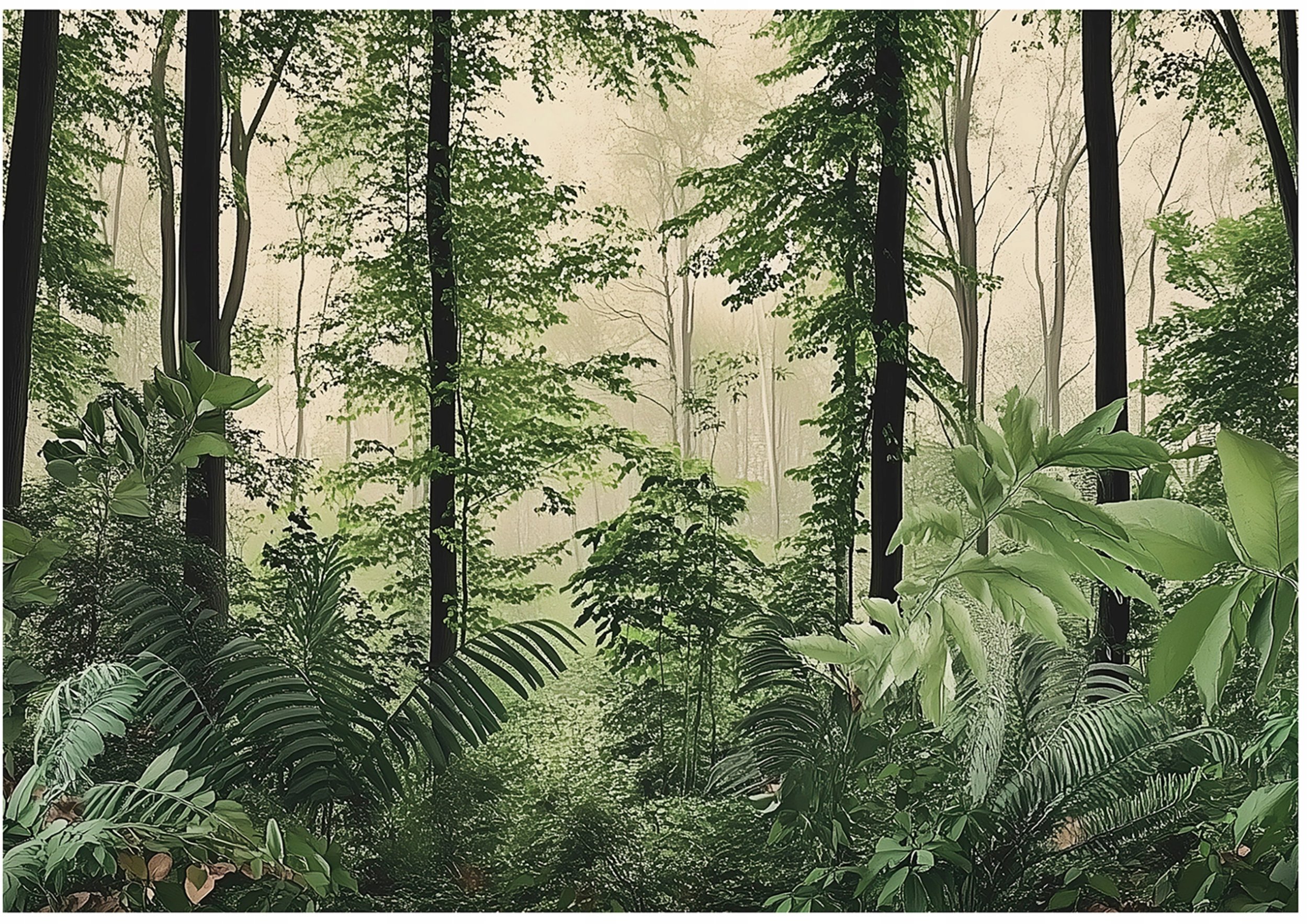 Fototapeta Las Drzewa Natura Sypialnia Salon Tapeta Flizelina 300X210