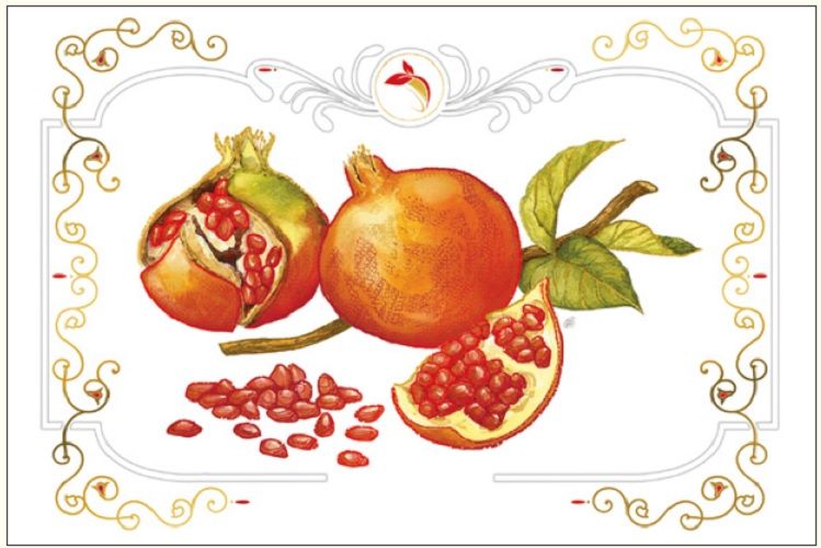 DA VINCI Karnet granat DaVinci 12x18 cm + koperta (B-BD 502 061)