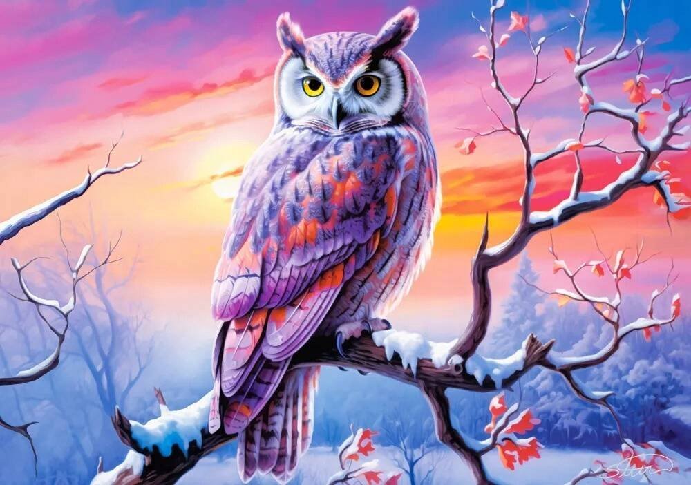 Castorland Puzzle 500 Owl's Perfect Evening CASTOR
