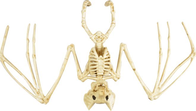 Dekoracja świąteczna Arpex Szkielet nietoperza one size