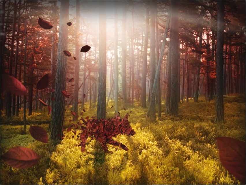 DecoNest Fototapeta - Animizm - 250X193