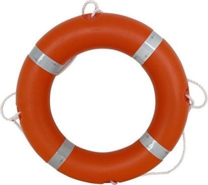 vidaXL LIFEBELT 2.5KG