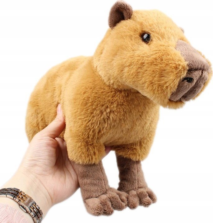 Pan i Pani Gadżet Maskotka Pluszak Przytulanka Kapibara Capybara Zabawa Dla Dzieci Plusz 30 cm