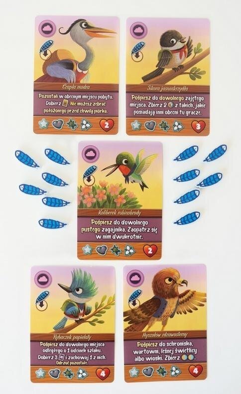 Klonowa Dolina: Zestaw minidodatków LUCRUM EDUKAMP