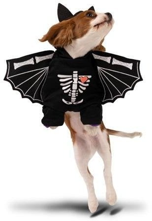 Lalazoo Strój dla psa Nietoperz 45x35cm