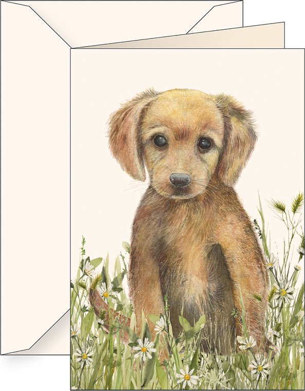 Teka Karnet B6 + koperta 6181 Br±zowy szczeniak