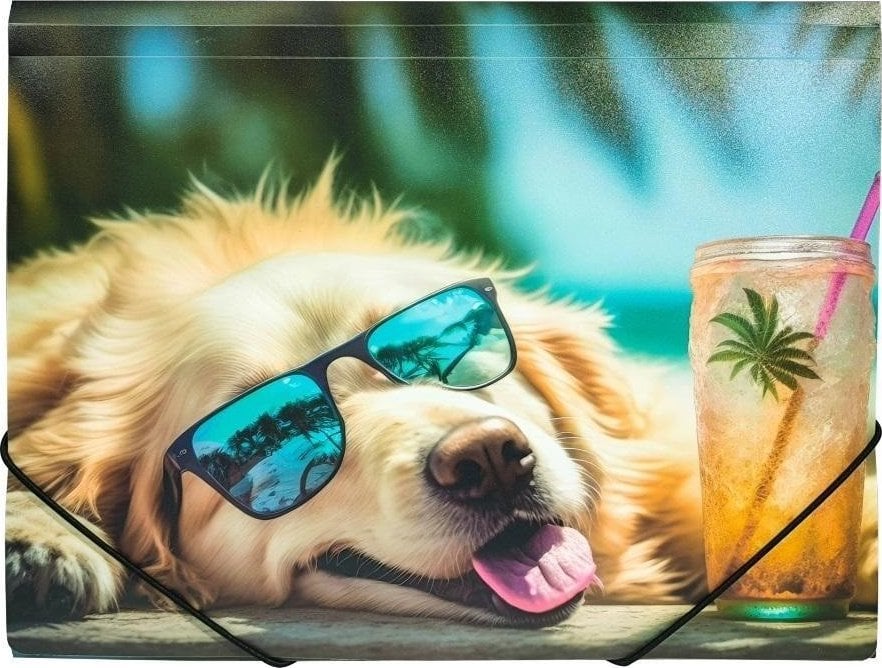 Teczka A4 PP z nadrukiem Chillout Dog
