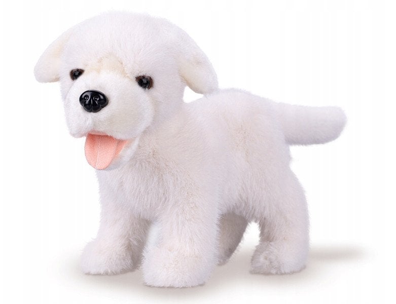 *****Labrador pluszowy 23cm 90456 04569