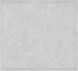 FILTR WLOTOWY Zelmer 3000.0019 Magnat