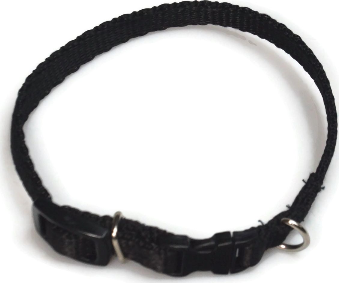 Alizoo Obroża dla psa 10mm/18-29cm - ALIZOO