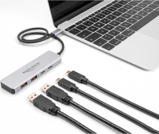 HUB USB Delock DeLOCK USB 10 Gbps USB Type-C Hub with 2 x USB Type-A and 2 x USB Type-C, USB hub (grey)