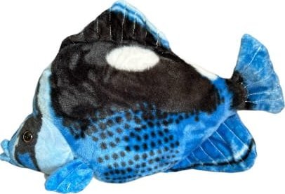 Ryba Hepatus niebieska 41cm