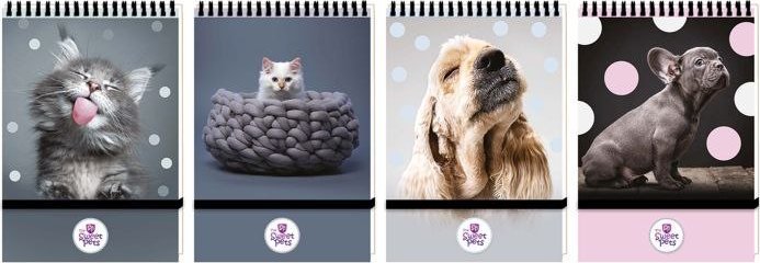 Kołonotes A6 96k. BENIAMIN The Sweet Pets - zamyklany na gumkę, kratka