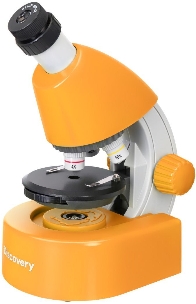 (EN) Mikroskop Levenhuk Discovery Micro z książką