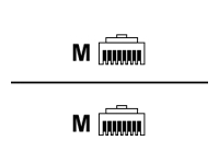 Intellinet Network Solutions Patchcord Cat6, SFTP, 0.25m, szary (739788)