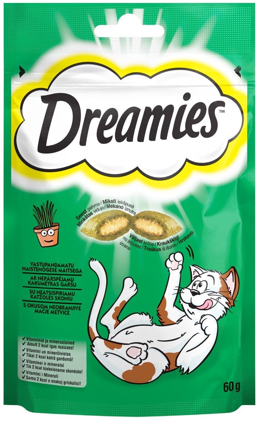 SNACK FOR CATS DREAMIES CATNIP 60G