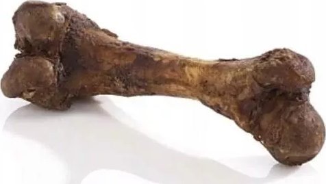 Vector-Food Przysmak Dla Psa Kość Wołowa Gigant 1szt