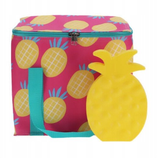 Torba termiczna z wkładem chłodzącym, 21 x 12 x 22 cm