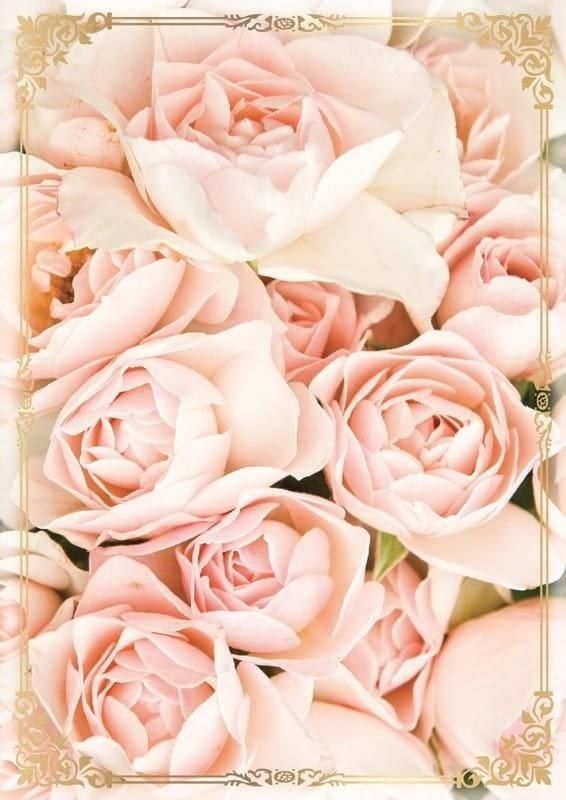 KUKARTKA Karnet B6 PP-2144 Kwiaty (bez tekstu)