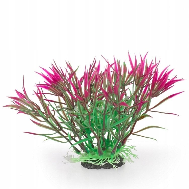 Terra Natura Aqua Natura, roślina, do dekoracji akwarium, fioletowa, plastikowa, 12 cm, kwiat w kształcie tulipana, szpiczasty