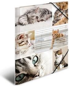 Herma Teczka A4 (19212)