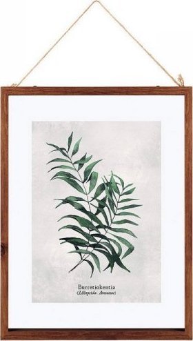 Ramka Atmosphera Ramka na Zdjęcia Atmosphera Wielokolorowy (38 X 48 cm)