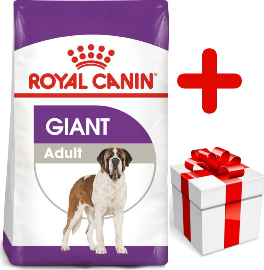 Royal Canin ROYAL CANIN Giant Adult 15kg karma sucha dla psów dorosłych, od 18/24 miesiąca życia, ras olbrzymich + niespodzianka dla psa GRATIS!