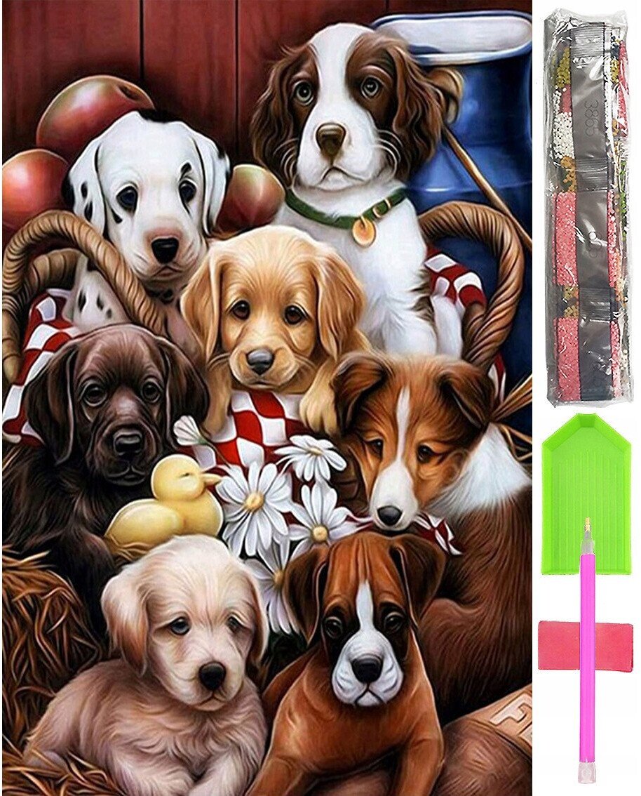 HAFT DIAMENTOWY 5D Zestaw Obraz MOZAIKA 40*60cm