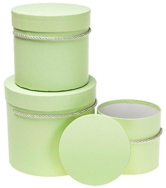 Pudełko Flower Box 3szt jasnozielony ROZETTE