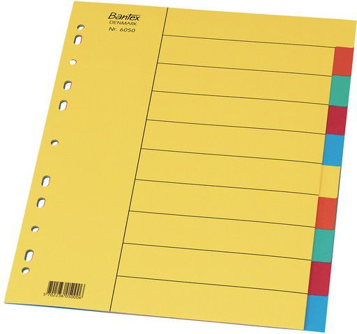 Elba PRZEKŁADKI KARTONOWE KOLOROWE 10 STRON A4 605000