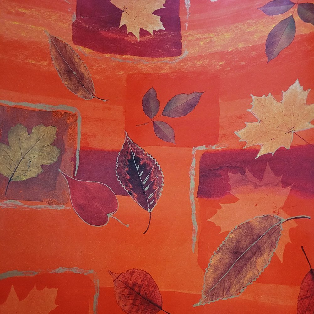 Fastima Papier do pakowania 57cmx2m 2m496 czerwony