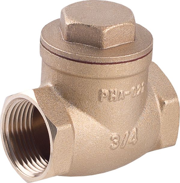 Perfexim Zawór zwrotny klapowy 1" PHA-021 G1 (04-021-0250-000)