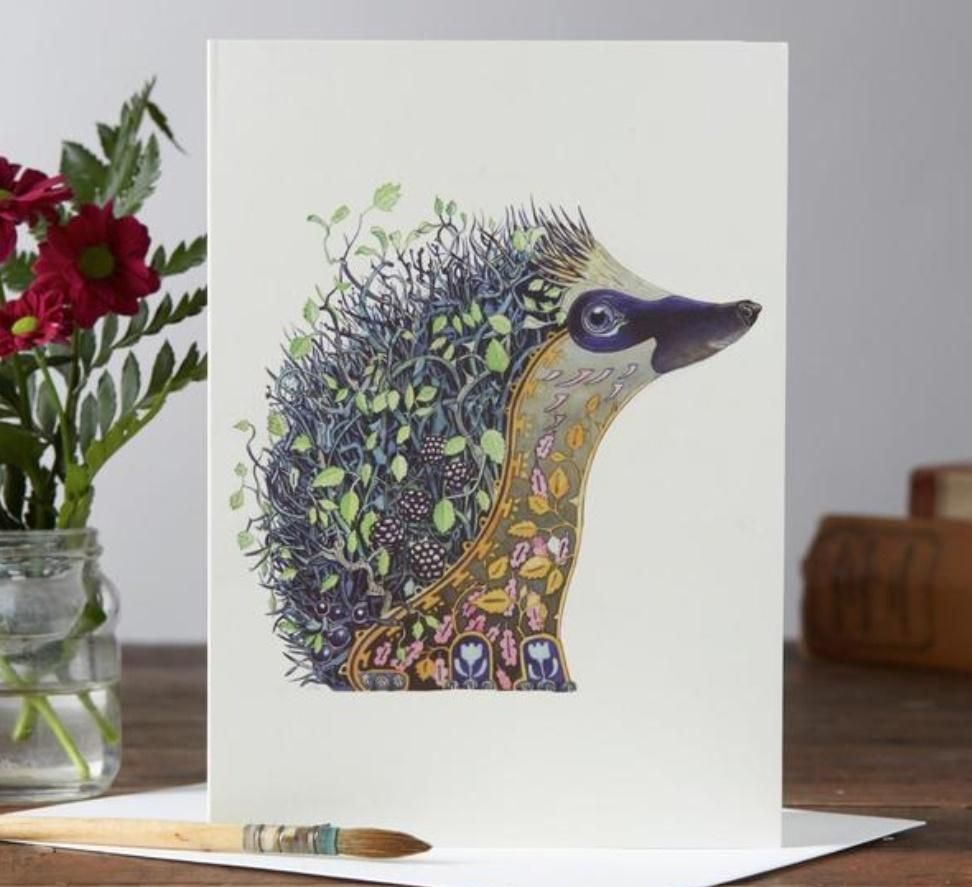 DM Collection Karnet A059 B6 + koperta Jeż z jeżynami