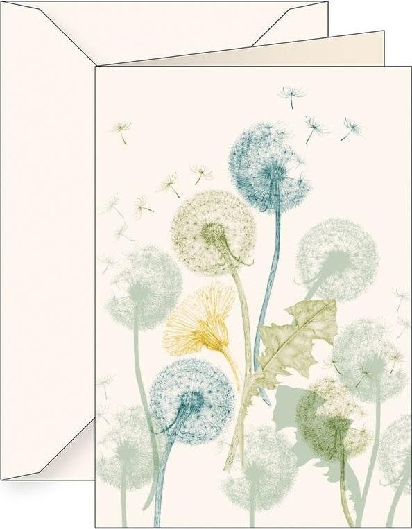 Karnet B6 + koperta 6127 Mniszek lekarski