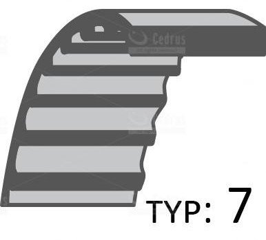 Pasek Cedrus Przecinarka Cedpc350 Cedpc400 /14X901/ 720098