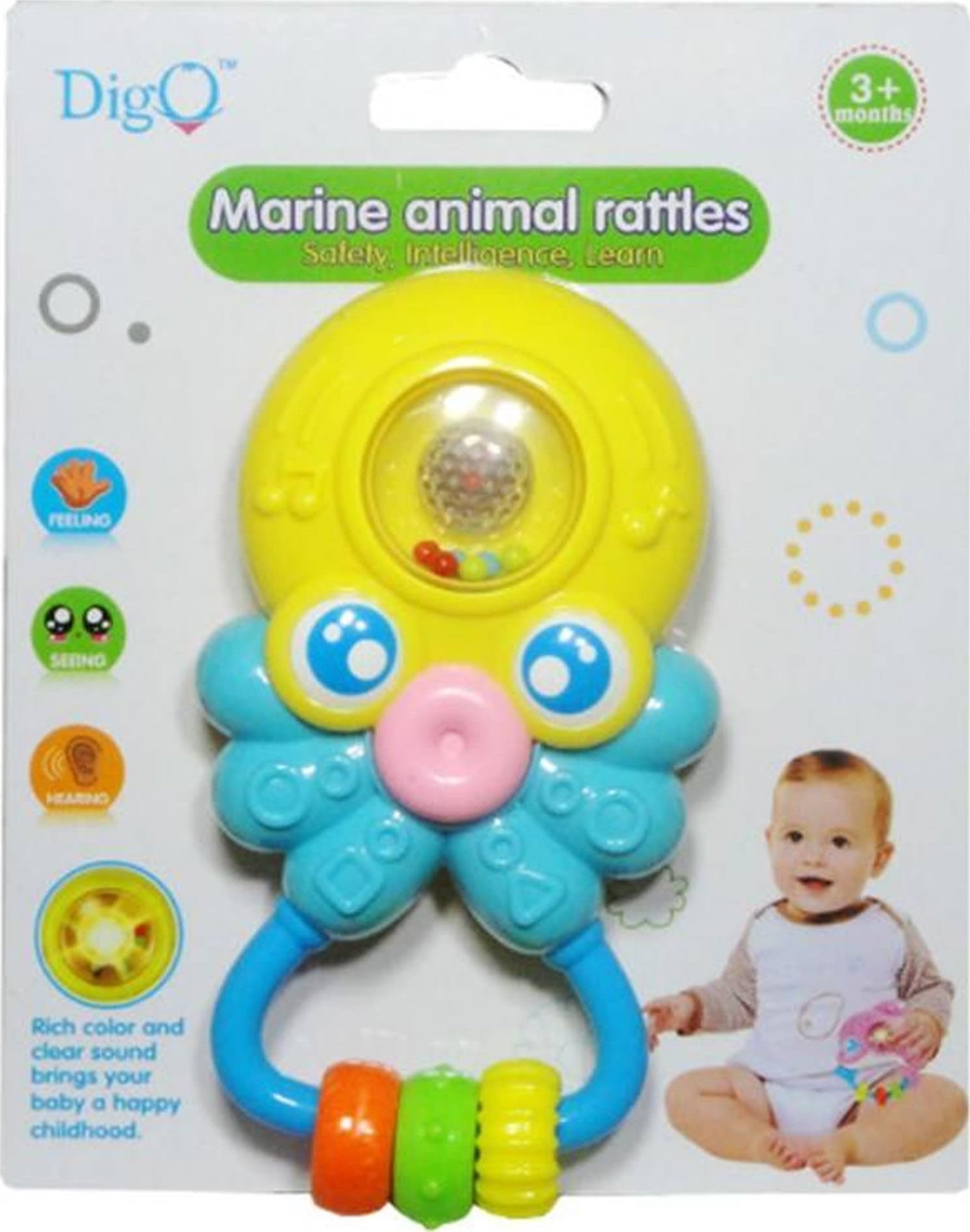 Swede Grzechotka ośmiornica