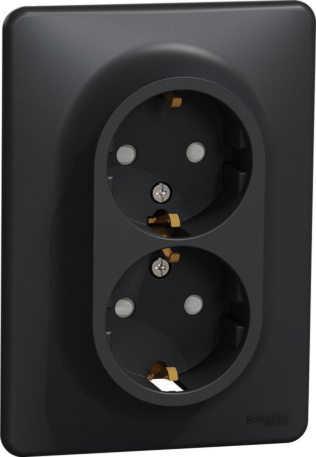 Schneider SOCKET 2PL SDD314221 ANTRA