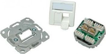 Telegärtner TELEGRTNER Gniazdo podtynkowe AMJ45 2-portowe RJ-45 Kat.5e biały