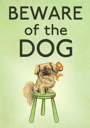 Karnet B6 z kopertą Strzeż się psa