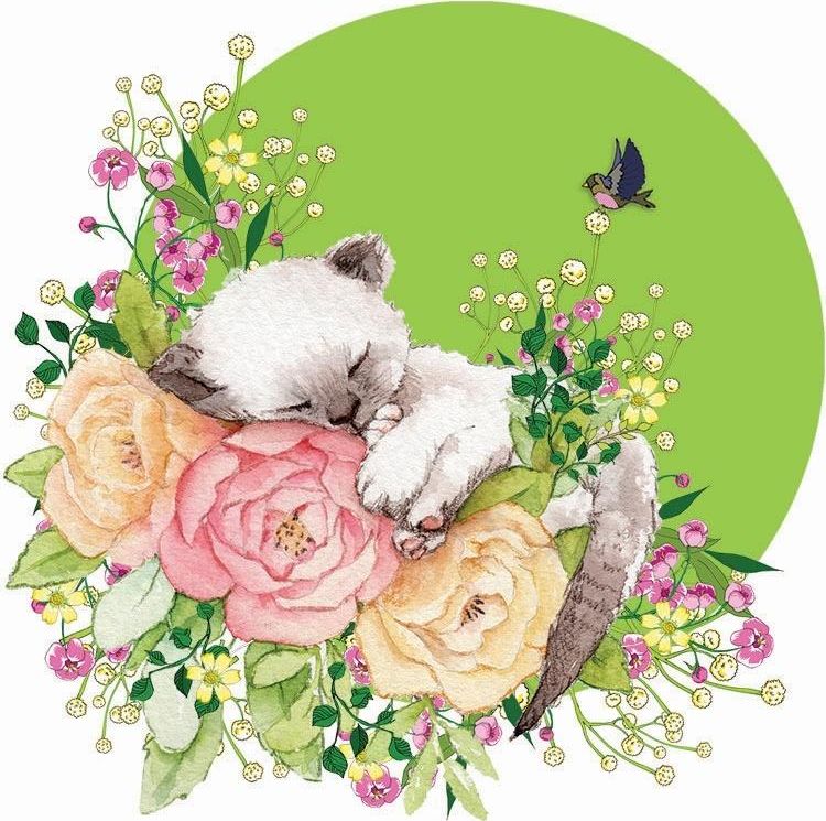 Clear Creation Karnet Swarovski kwadrat CL2002 Kot