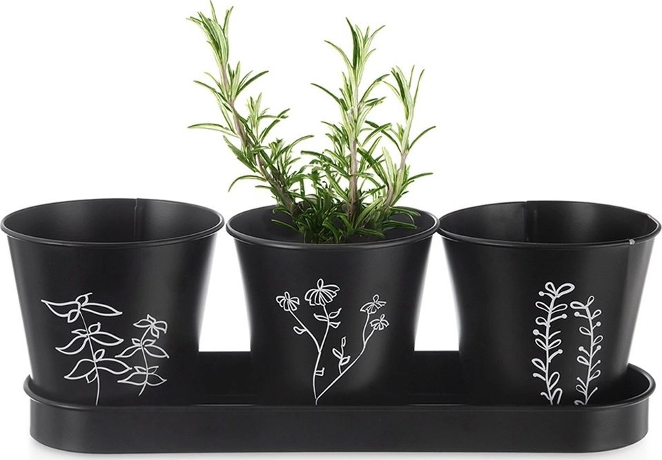 Doniczka na zioła na podstawce BLACKLINE 4 el.