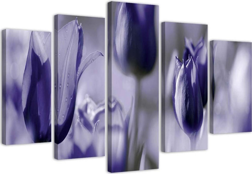 Feeby Obraz pięcioczęściowy na płótnie, Fioletowe tulipany na łące - 150x100