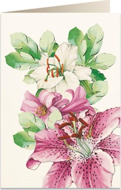 Tassotti Karnet B6 + koperta 5931 Lilie