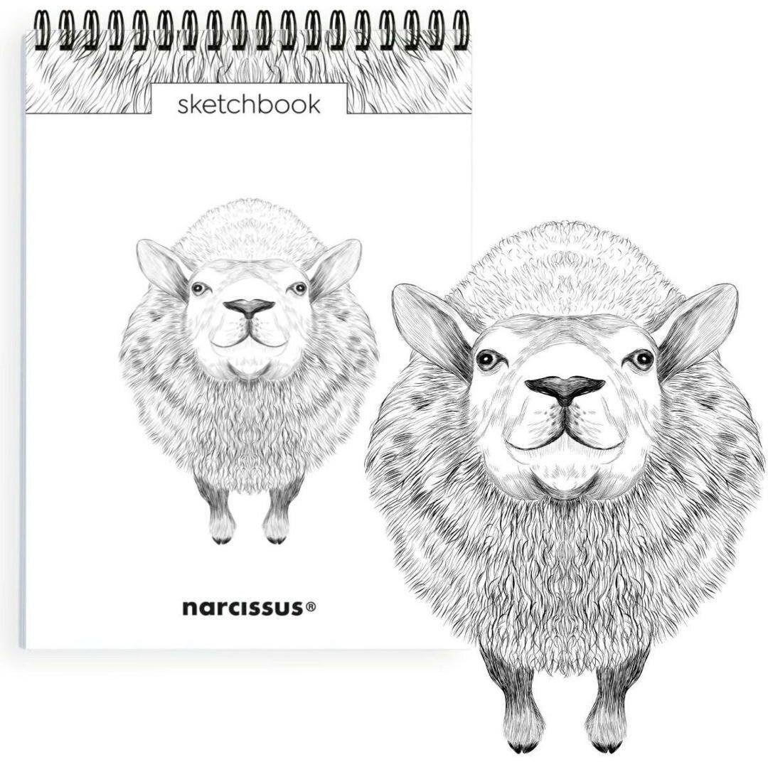 Szkicownik A5/60K na spirali - Owca