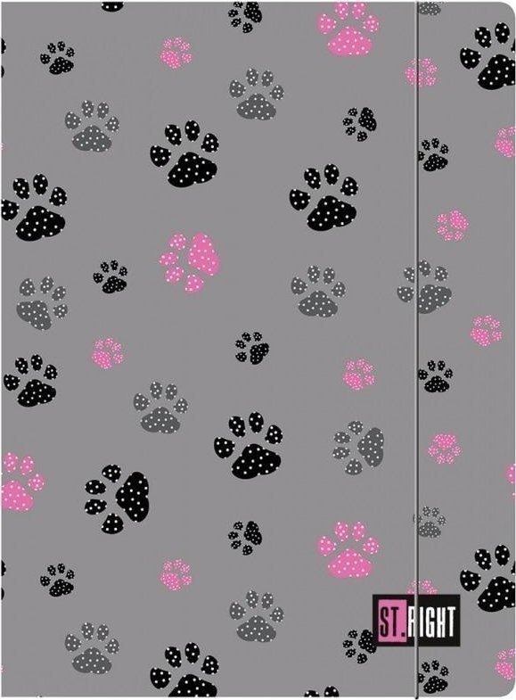 Teczka z gumką A4 Paws